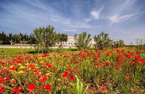 Tenuta Kyrios Agriresort Restaurant & Pool - Foto 43