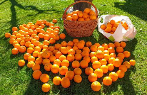 Ambience Dubrovnik - Photo 10