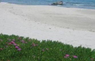 Holiday Home Natur- ökologische Nachhaltigkeit- nur für Erwachsene- Meer in der Nähe by Interhome - Foto 39