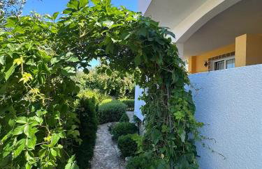 Apartments Brač - Photo 11