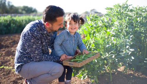 Agroturismo Llucmaçanes Gran - Foto 5