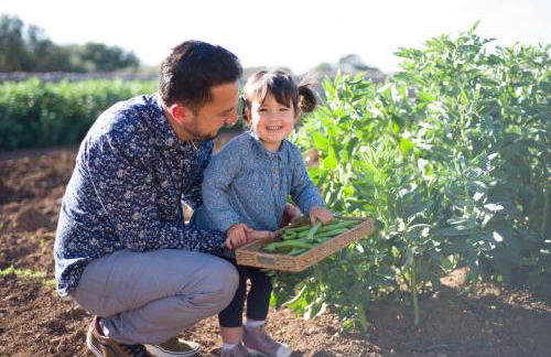 Agroturismo Llucmaçanes Gran - Foto 45