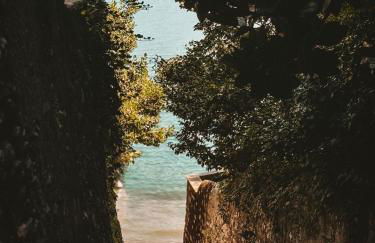 La Rondine - Foto 29