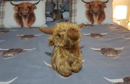 Ella's Hoose - Photo 21