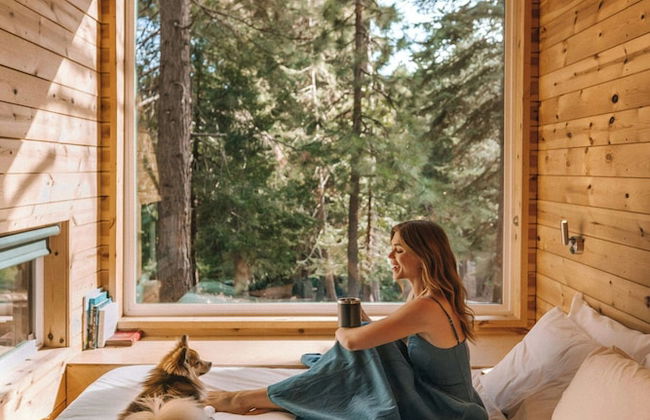 Postcard Cabins Western Catskills, Outdoor Collection by Marriott Bonvoy - Foto 52