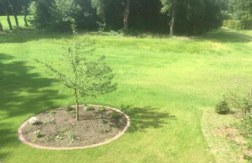 Ferienhaus Jahn - Foto 27