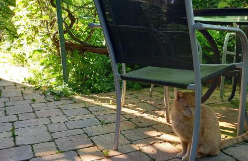 Freilandhof - Foto 33