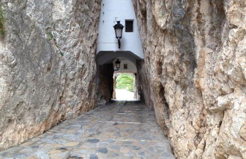 El Salat, alojamientos rurales - Photo 40