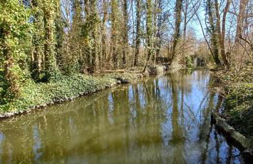 Cabane bleue des Hortillonnages - Foto 29