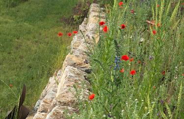 Am Rothen Hang - Foto 6