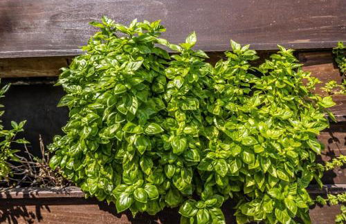 Luxury 3BR with Cabana Oasis Pool & Style - Foto 59