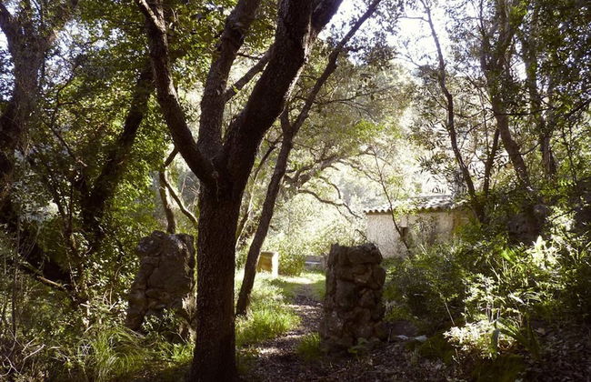 Agroturismo Can Torna AG178 - Foto 34