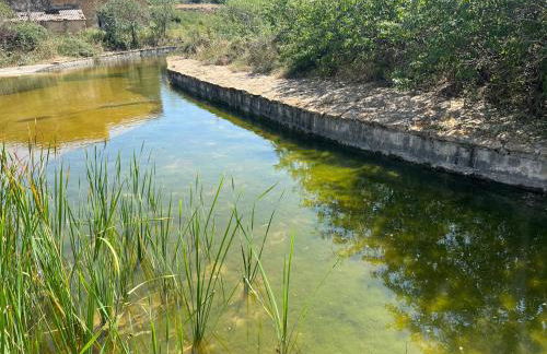 Masia MATUTANO - Foto 27