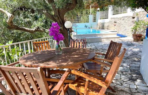 D1MORA Panoramica - Foto 13