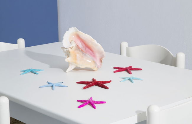 Residence La Conchiglia - Foto 21