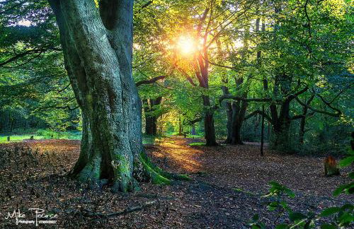 Cannock Hotel Apartments - Foto 38