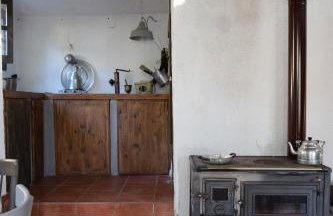 Dendrocopos Medius - Photo 13