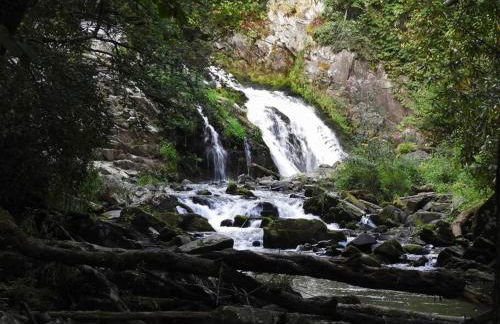 Yogi House Meditation Retreat - Foto 7