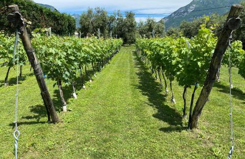 Residence Verdeblu - Foto 54