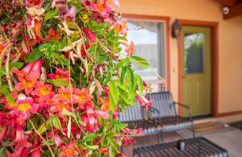 Newly Remodeled Family Friendly Home - Foto 36