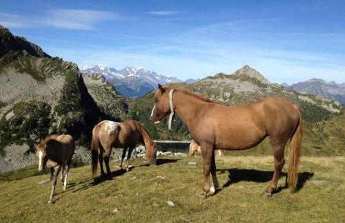 Appartamento Melissa - Foto 27