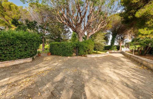 Trulli Vittorio - Royal Dream - Foto 40