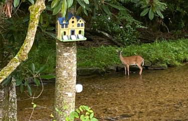 River Run Cottage Modern 2BR Waterfront Retreat in Linville Land Harbor - Foto 13