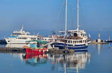 Octopus Blue - Photo 25