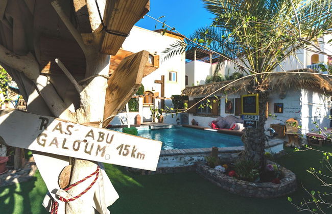 Villa With Pool BBQ Grill Garden Beduintent Sunbeds Jacuzzi - Foto 14