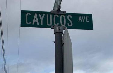 Casita de ForestTiny home in Templeton, CA - Foto 12