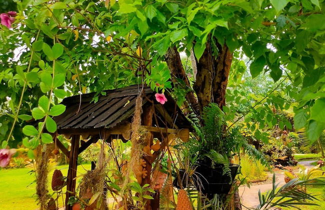 Flora Land Resort Chiang Mai - Foto 42