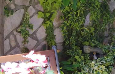 LA GRANDA DE LA CONCHA - Foto 25