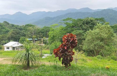 Loft com piscina natural em Cachoeiras de Macacu - Foto 41