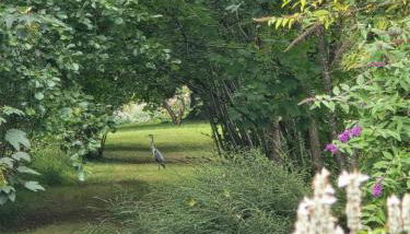 Au fil de l'O - Evasion romantique de charme avec jacuzzi privatif - Foto 5