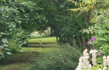 Au fil de l'O - Evasion romantique de charme avec jacuzzi privatif - Foto 5