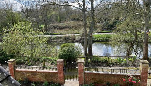 River Rose - Foto 3, Garden