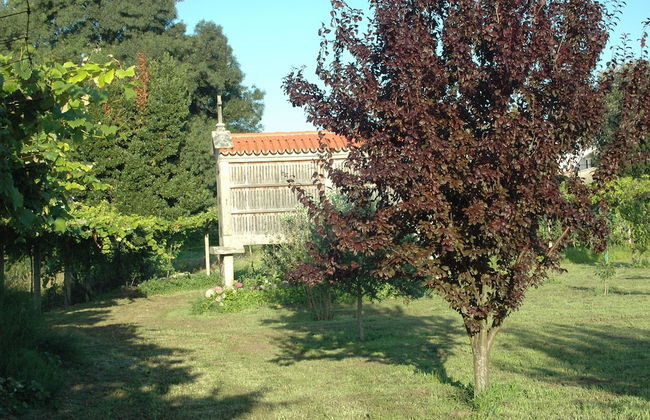 Os Migueliños - Foto 29