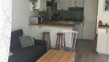 Charmant appartement 42m2 pour location de vacances Seignosse - Foto 2