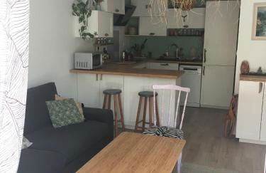 Charmant appartement 42m2 pour location de vacances Seignosse - Foto 2