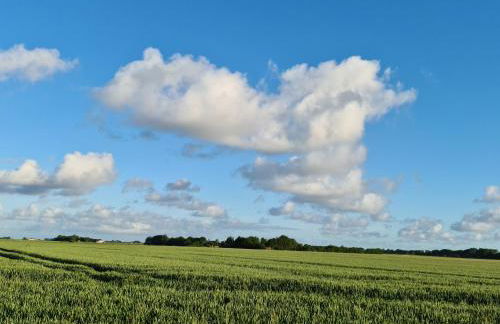 Ferienwohnung op de Warft - Foto 34