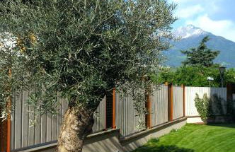 ALIA appartements & wellness - Foto 45