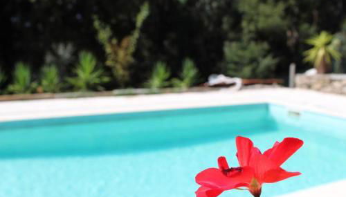 Bosque dos Amieiros - Foto 1