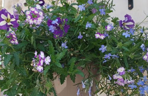 Wisteria Cottage at Gites de la Vienne - Foto 10