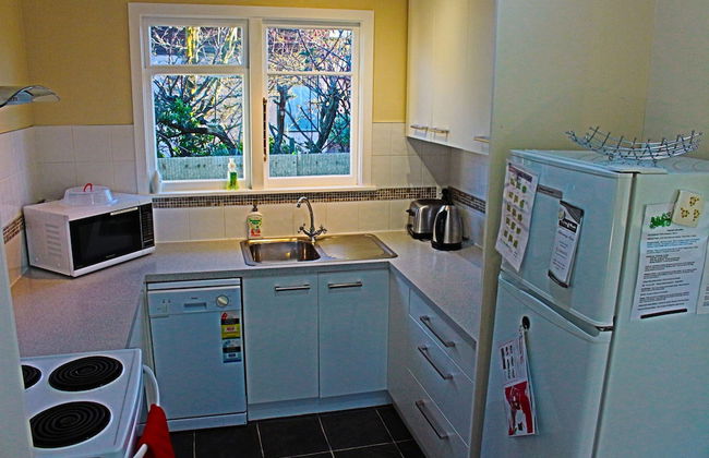 The Green Gecko - Foto 15