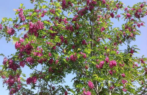 Casa Vacanze Valdicciola - Foto 30