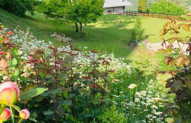 Mansarda la soffitta - Photo 47