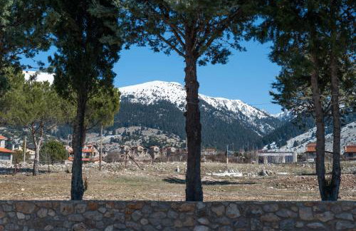 Villa Dianne Apt 2 Livadi Arachovas - Foto 20