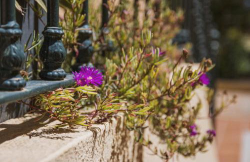 Floridamar Mimosa - Foto 29