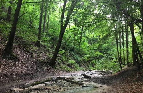 Leśna 6 - House with a garden - Foto 39