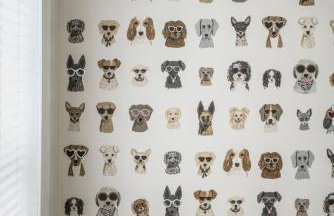 Next to Expo, 5 beds, Hot-tub, corn hole, pets! - Foto 6